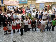 XI Wojewódzki Turniej KGW - 2014r. - zdjęcie 28